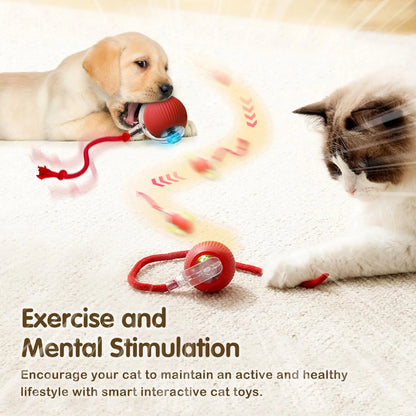 Cat Interactive Ball Toy, Intelligent Mouse for Cat
